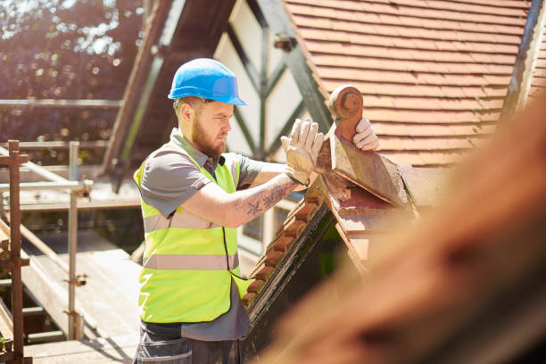 Best Metal Roofing Contractor  in Mississippi State, MS